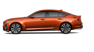 https://brochures-statics.cadillac.com/image/upload/prod/brochures/CT5-V-SERIES/Specs/my22-ct5v-specs-jelly.png